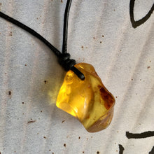 Raw Baltic Amber Surfers Necklace - Sealight 1