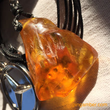 Huge Baltic Amber with Insects Pendant Unisex